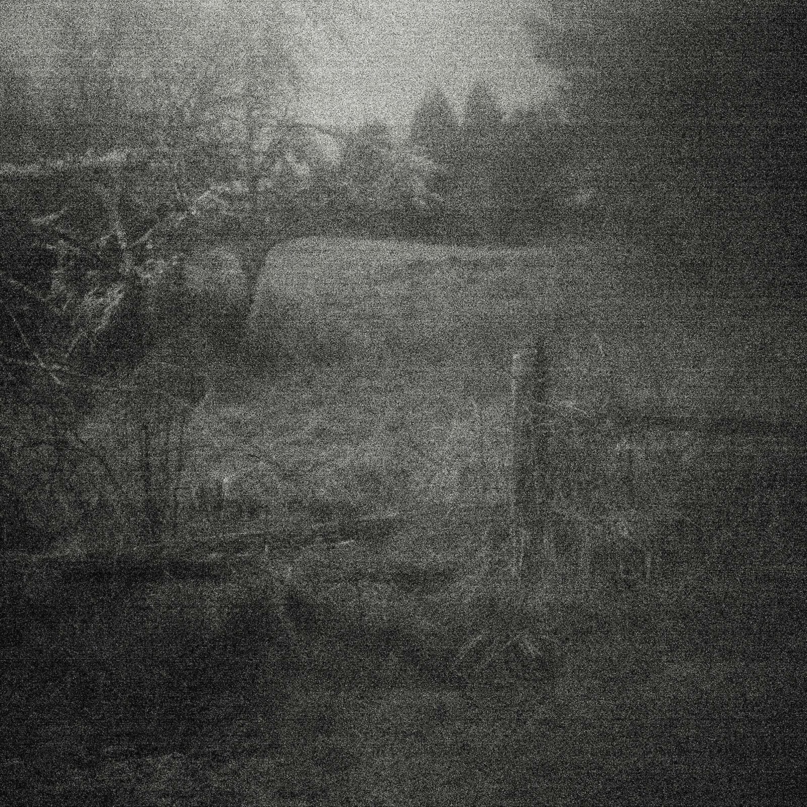 Isaac Layman, 3:00 am, 2021