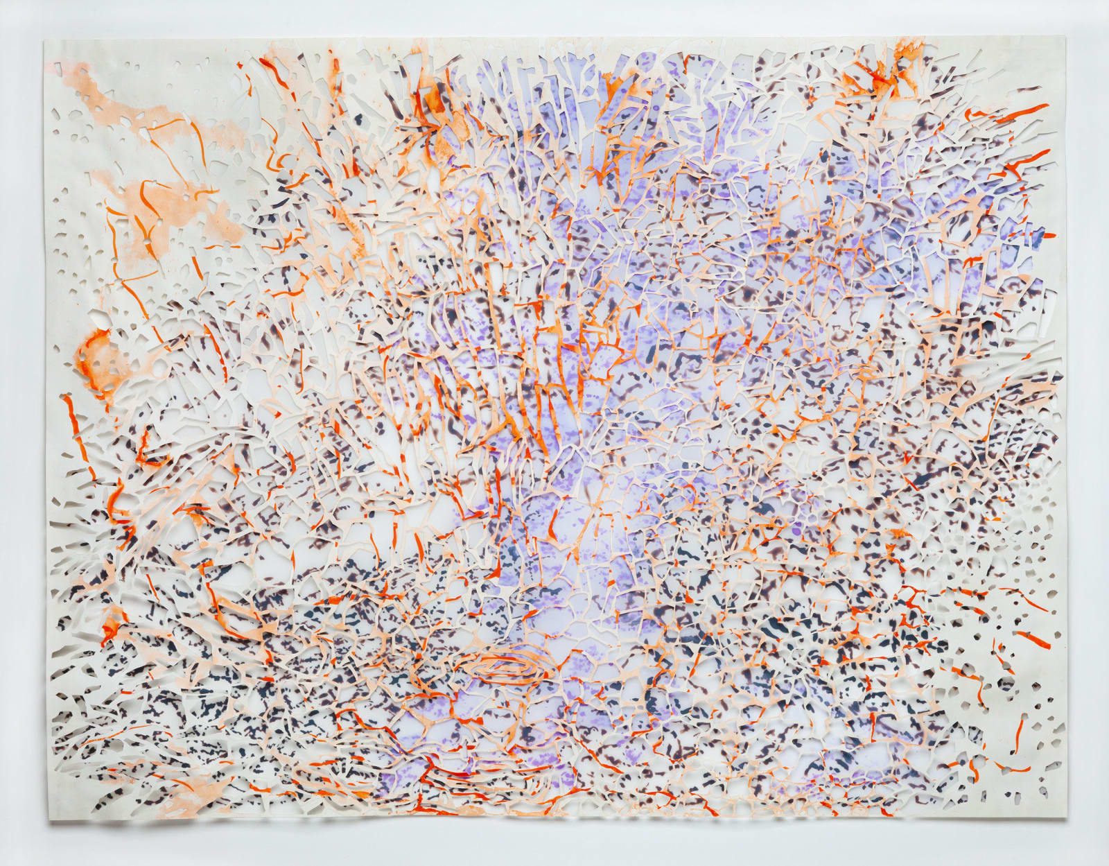 Christine Bourdette, Scree, 2024