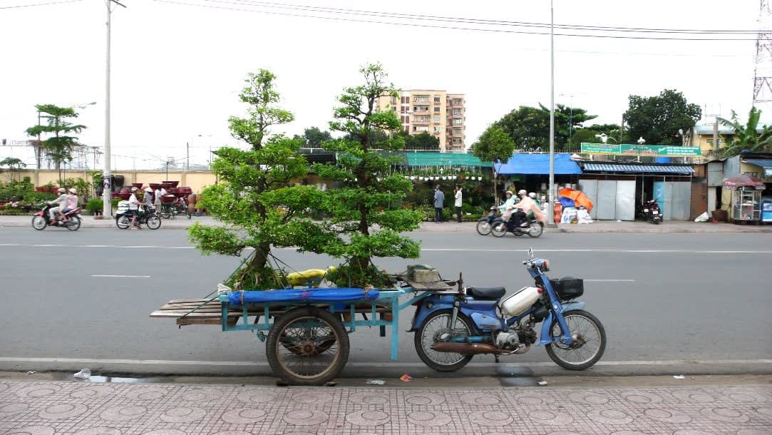 Dinh Q. Lê, Gardens on the Move, 2009