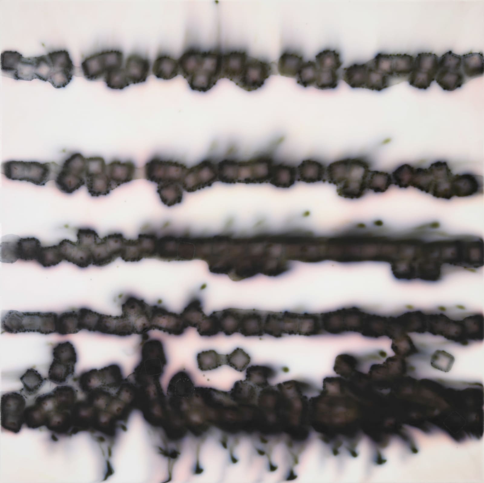 Jaq Chartier, Dusky Black Mix #2, 2025