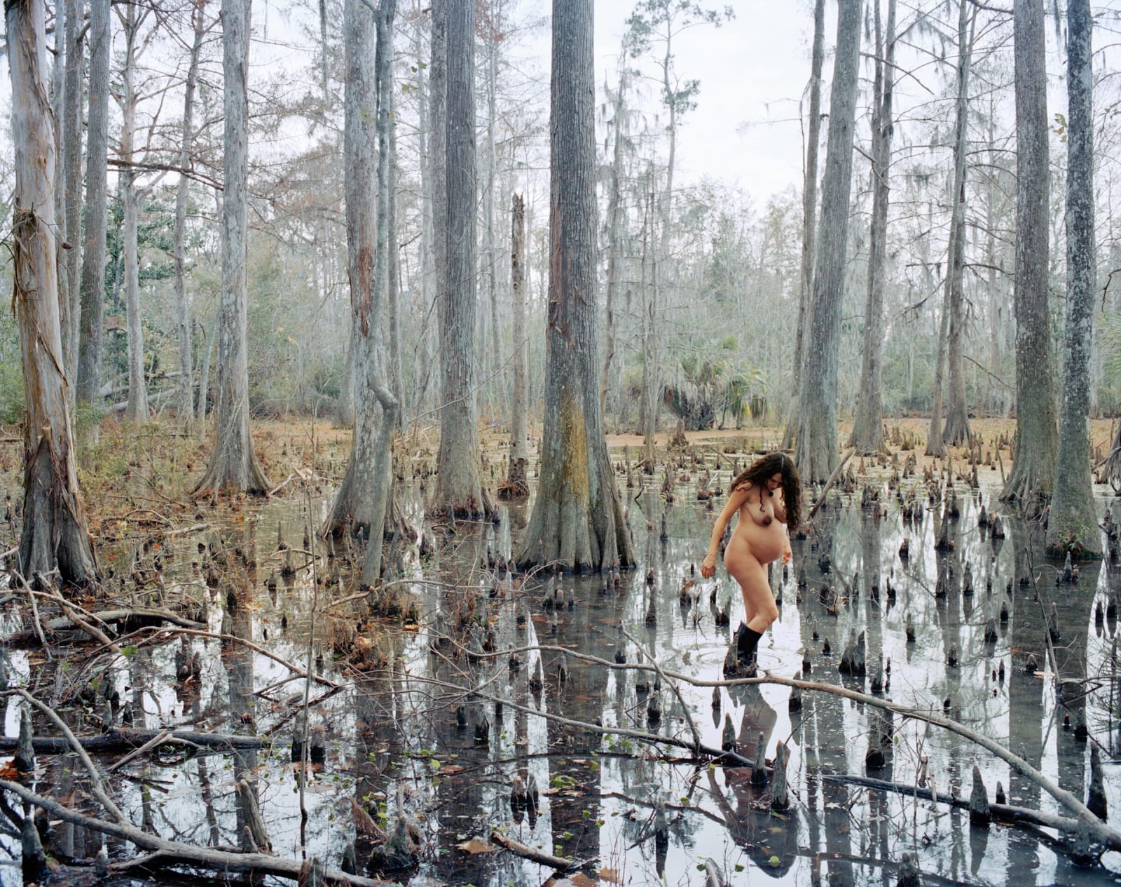 Justine Kurland, Wild Palms, 2005/2022