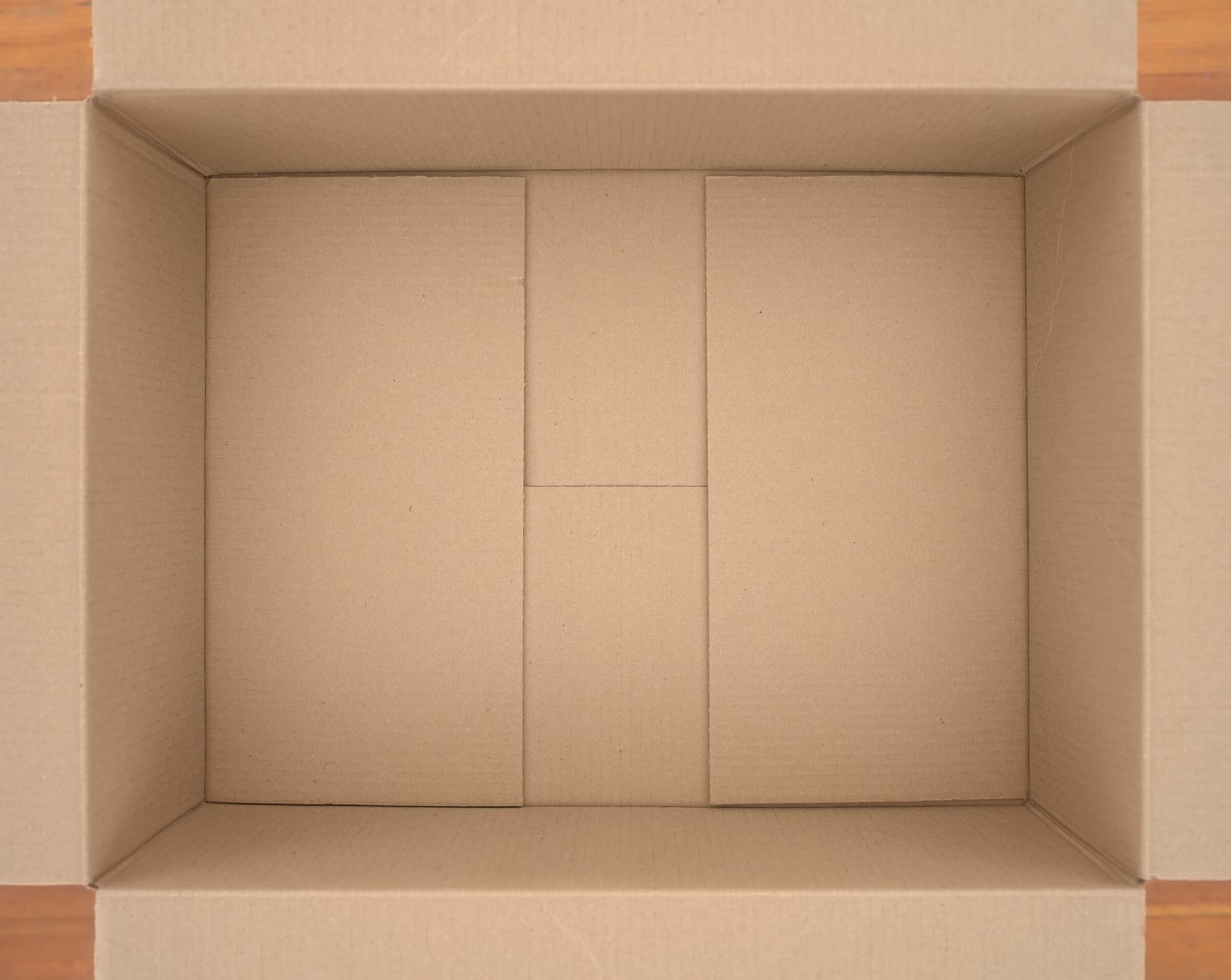 Isaac Layman, Untitled, 2018