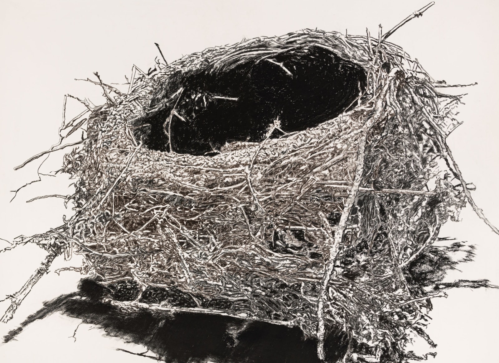 Sean Healy, Egg's Nest, 2022