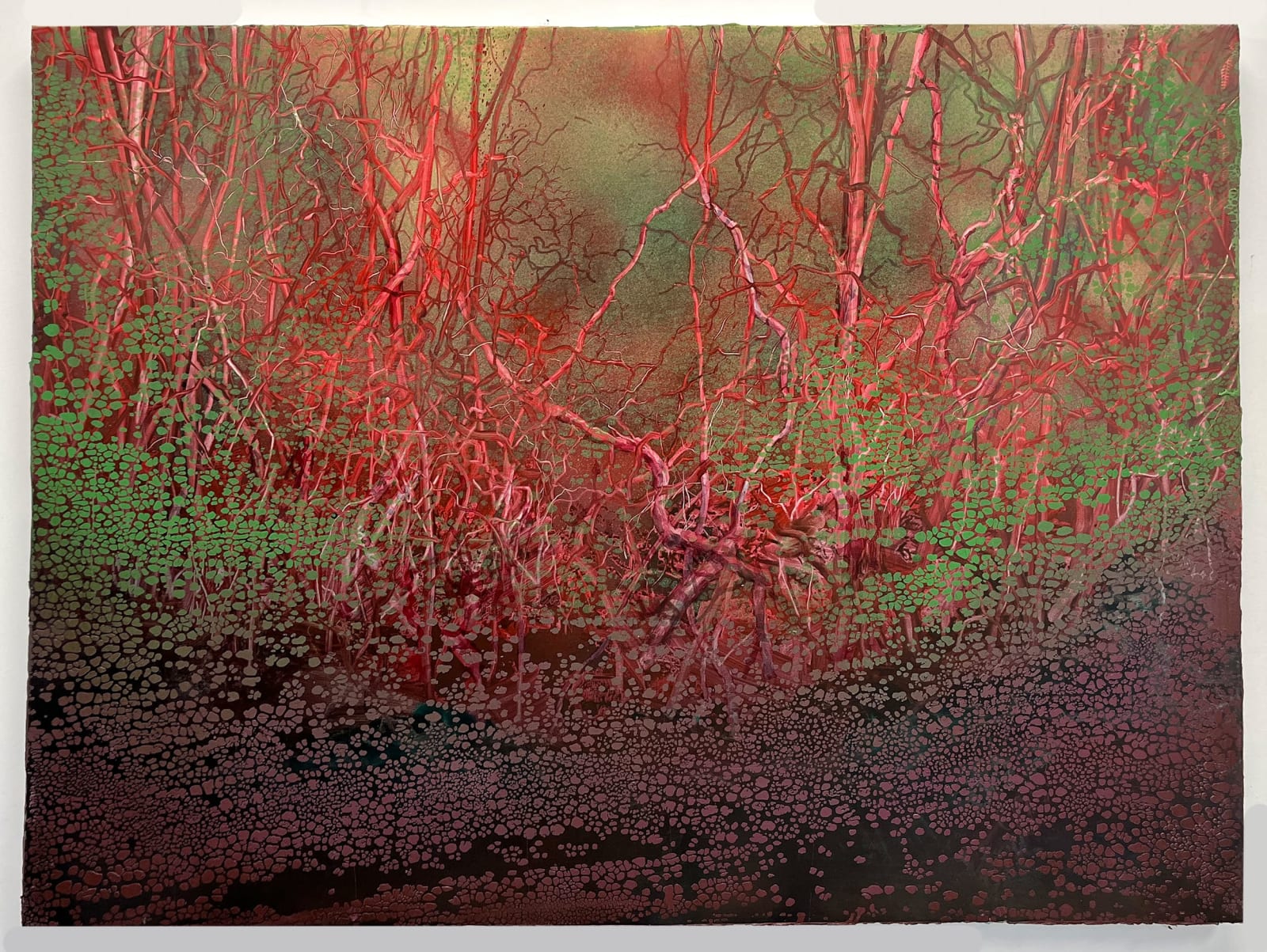 Shane McAdams, Kimberly Court, 2023