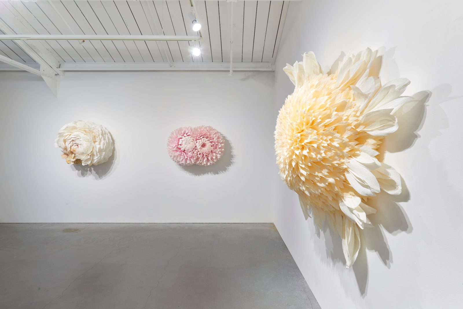 Tiffanie Turner, Specimen E (Platinum Blonde) , 2019