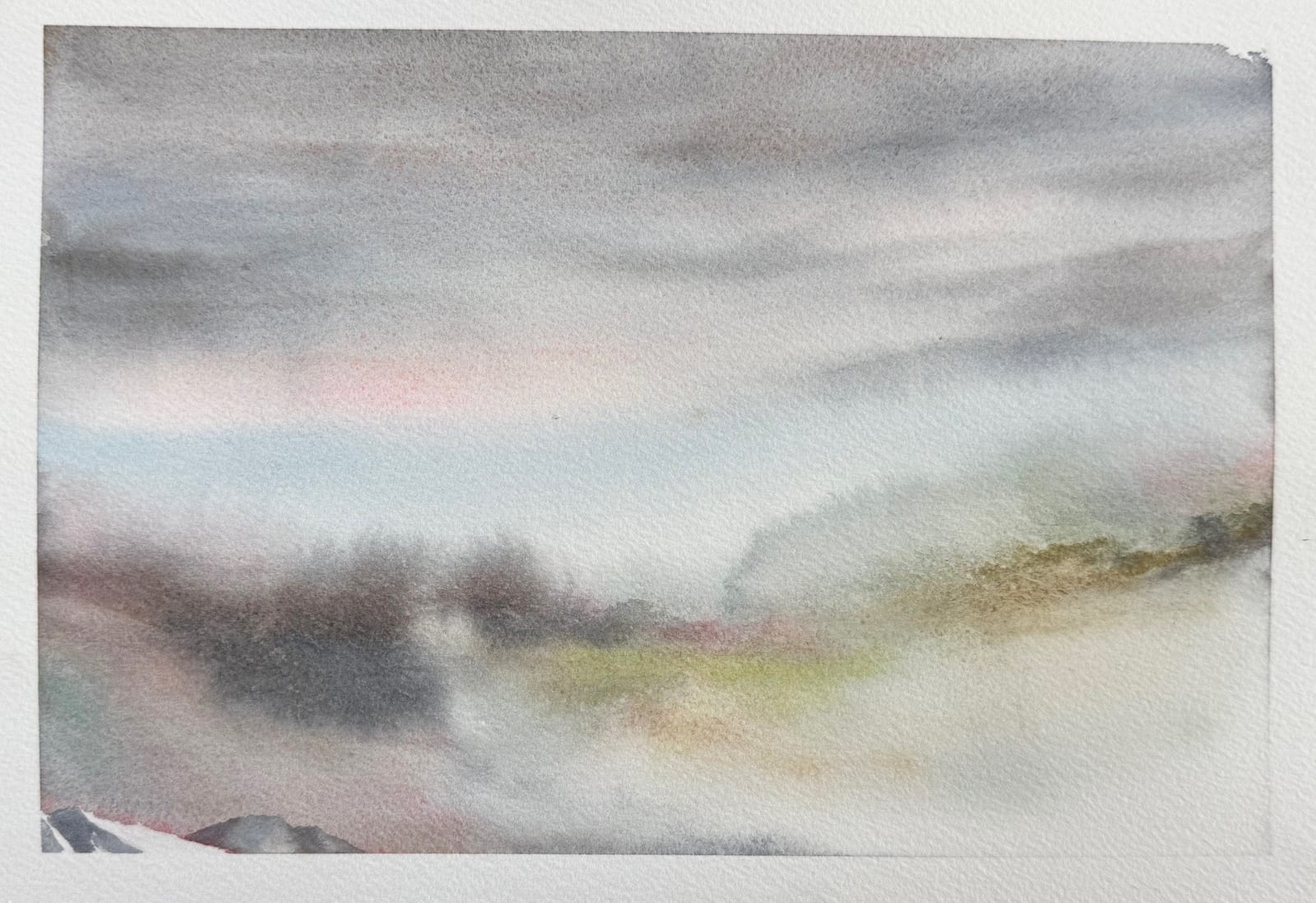 David Muller, David Muller Watercolor Study 03