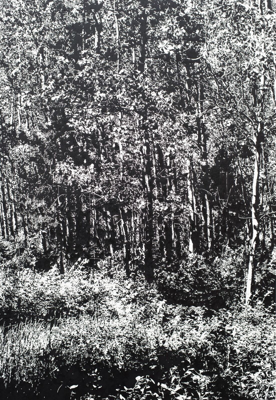 James Chronister, Summer 1, 2016