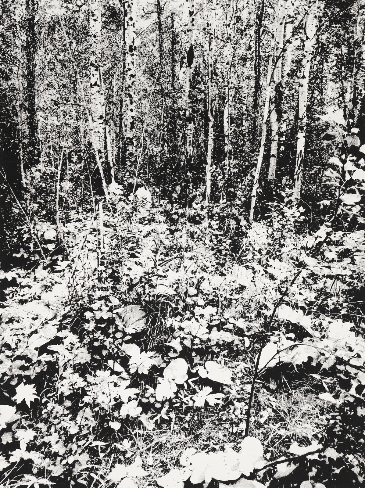 James Chronister, Deinze (3), 201819