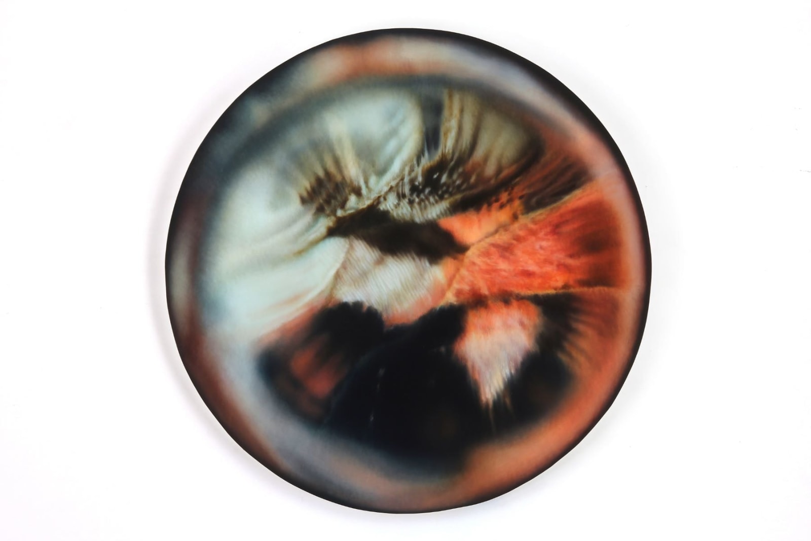 Kate Nichols, Vanessa Cardui 2, 2017