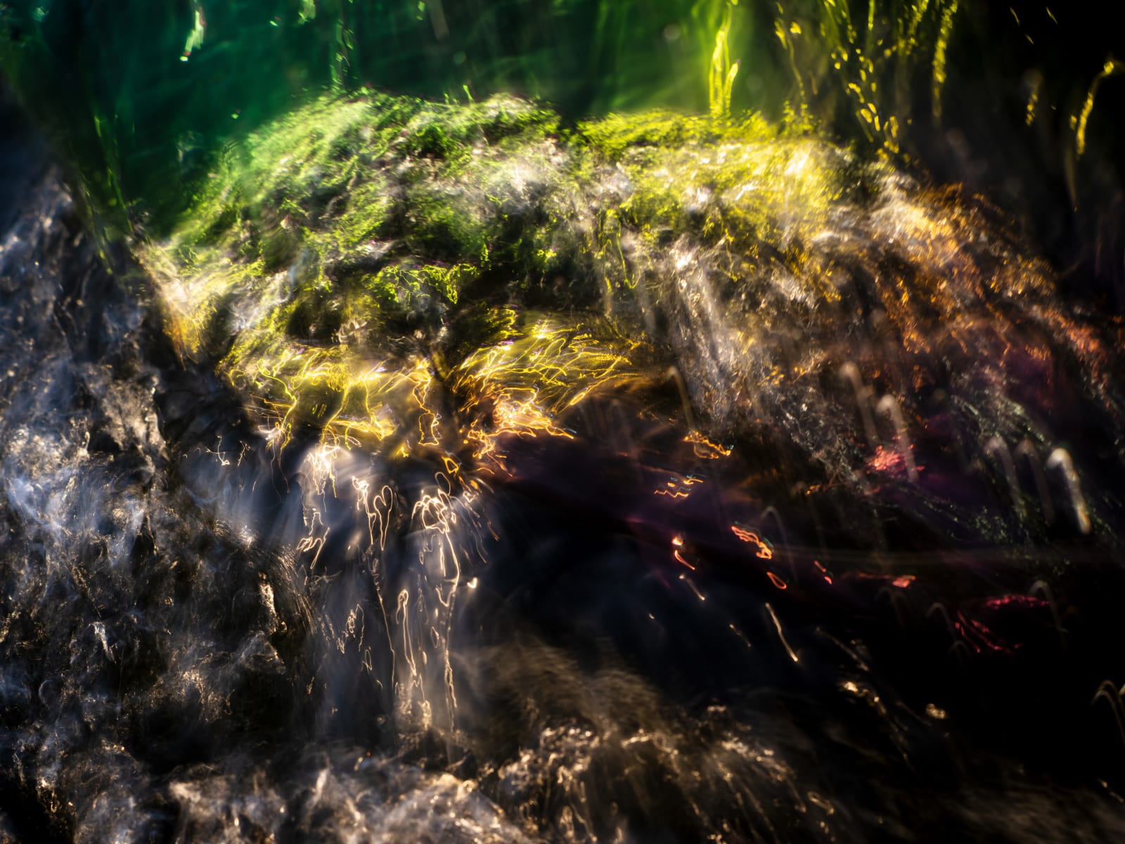 Alex Nicholson, LA River June 17th, 2024 63126 PM, 2024