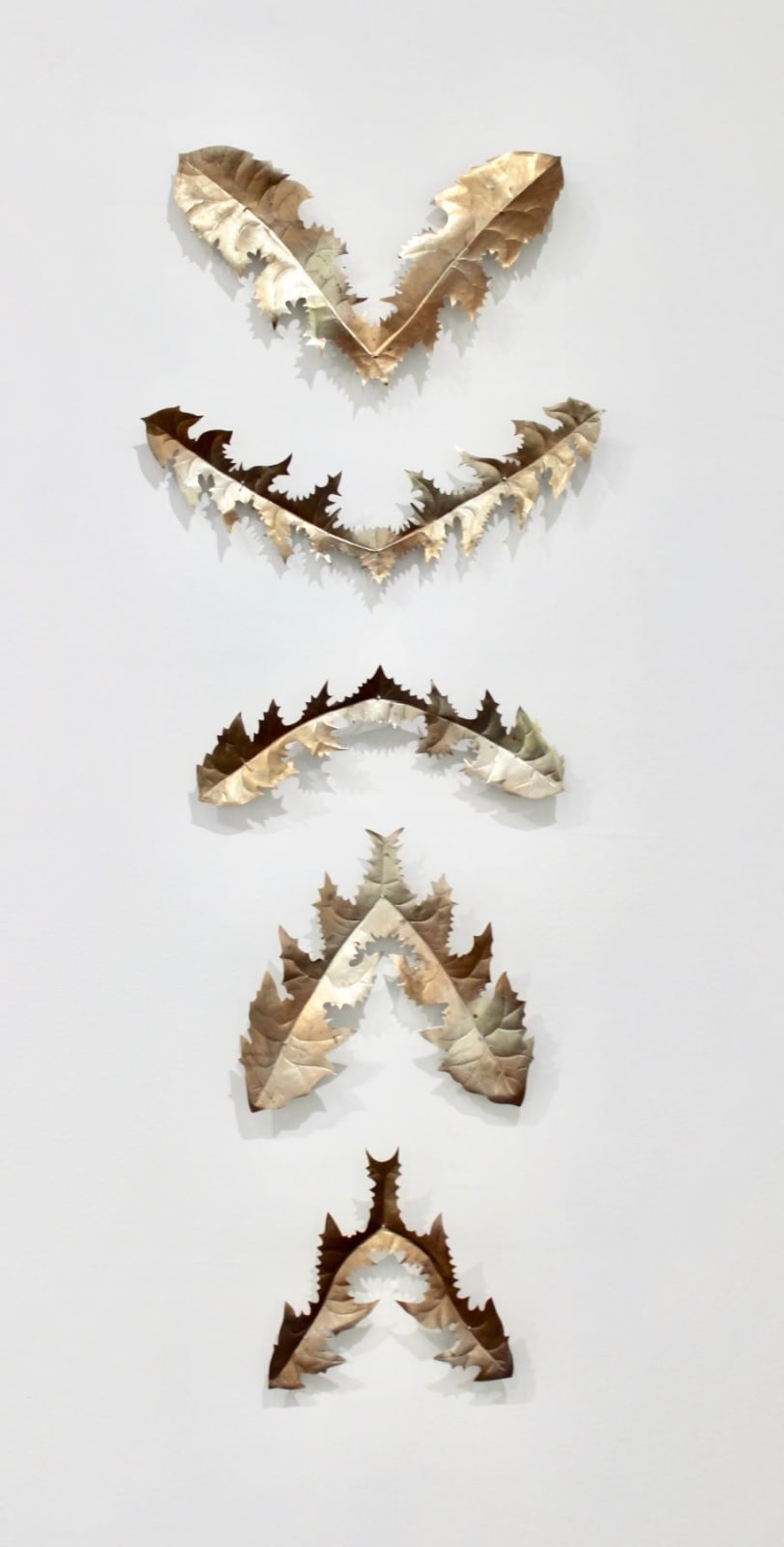 Kirk Maxson, Trail of Tears, 2017