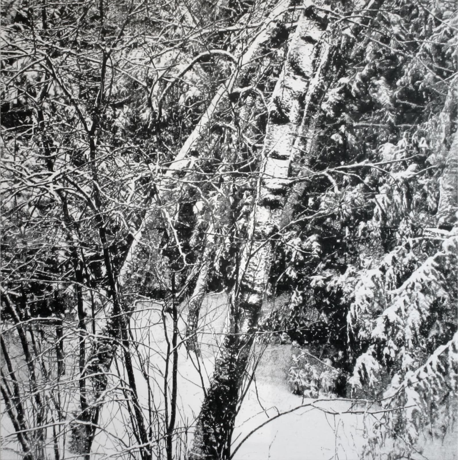 James Chronister, Untitled (Snowy Forest), 2009