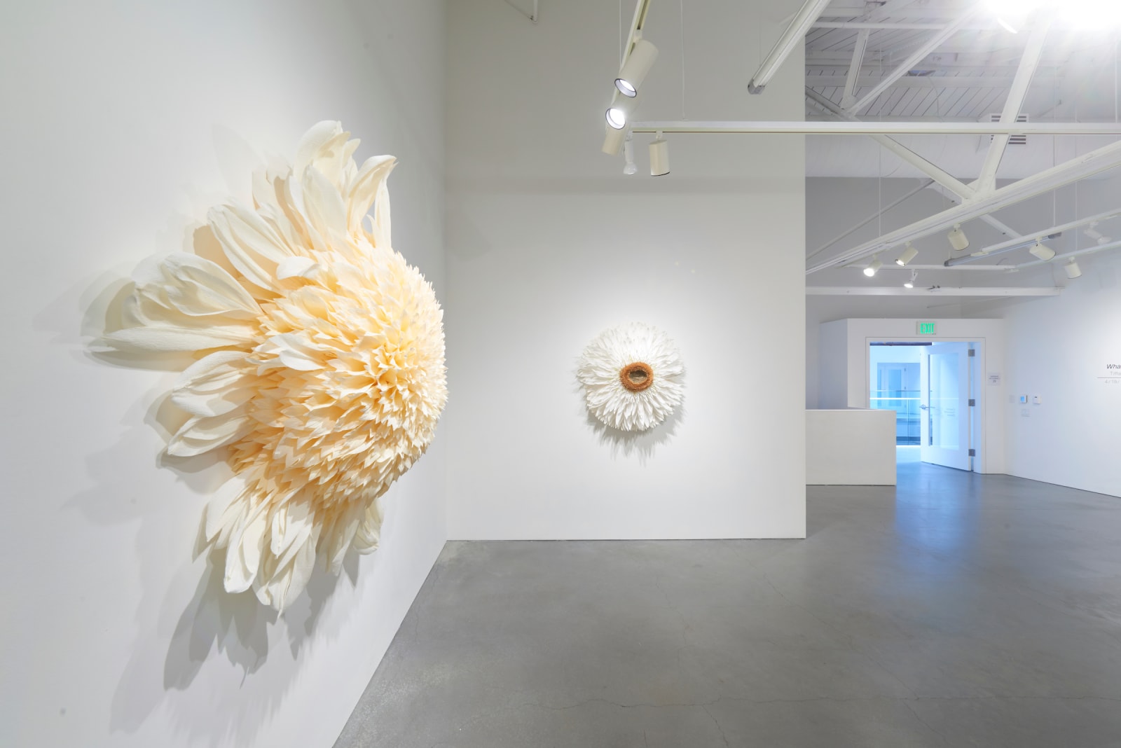 Tiffanie Turner, Specimen E (Platinum Blonde) , 2019