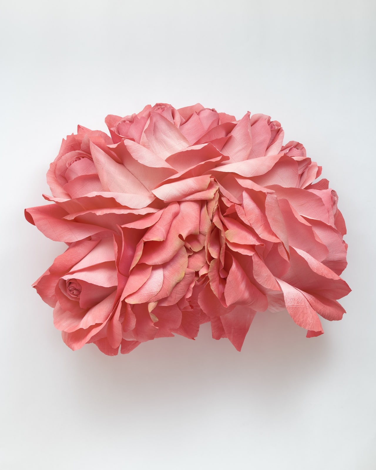 Tiffanie Turner, Cockscomb Rose, 2022