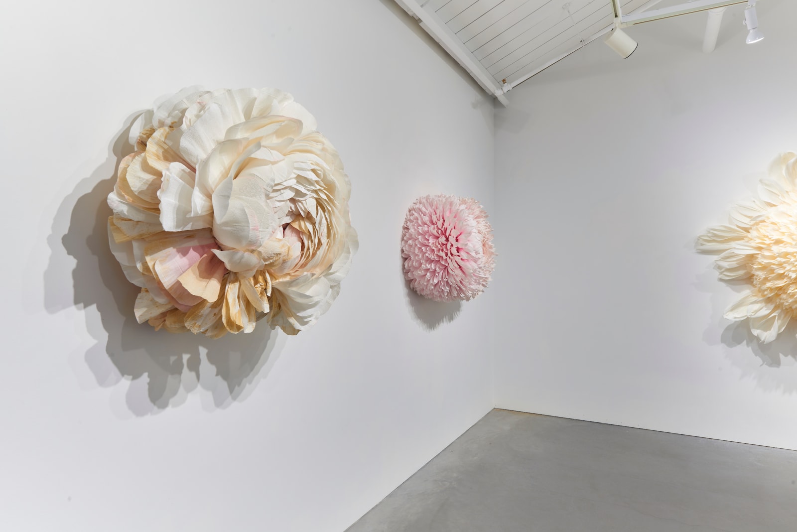 Tiffanie Turner, Specimen C (Ranunculus) , 2019