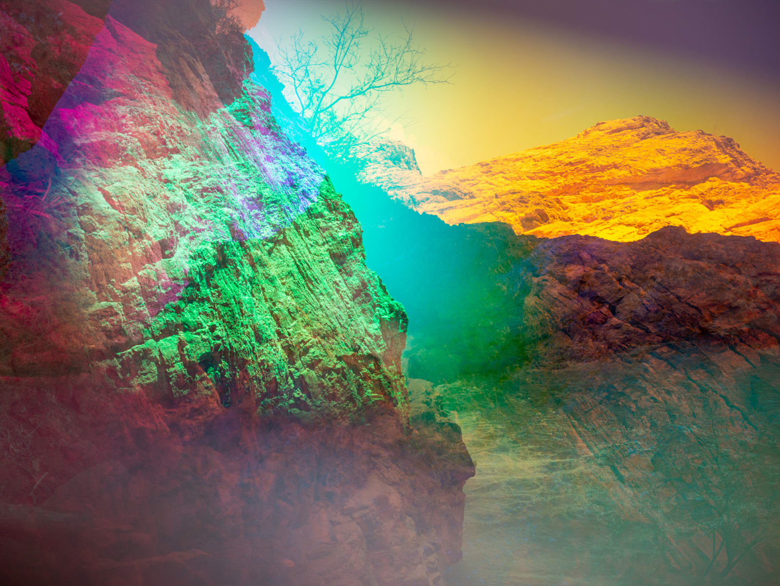 Terri Loewenthal, Little Coyote Canyon, 2020