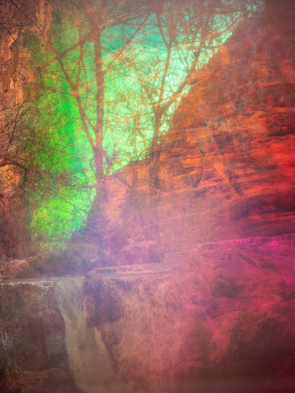 Terri Loewenthal, Beaver Canyon, 2020