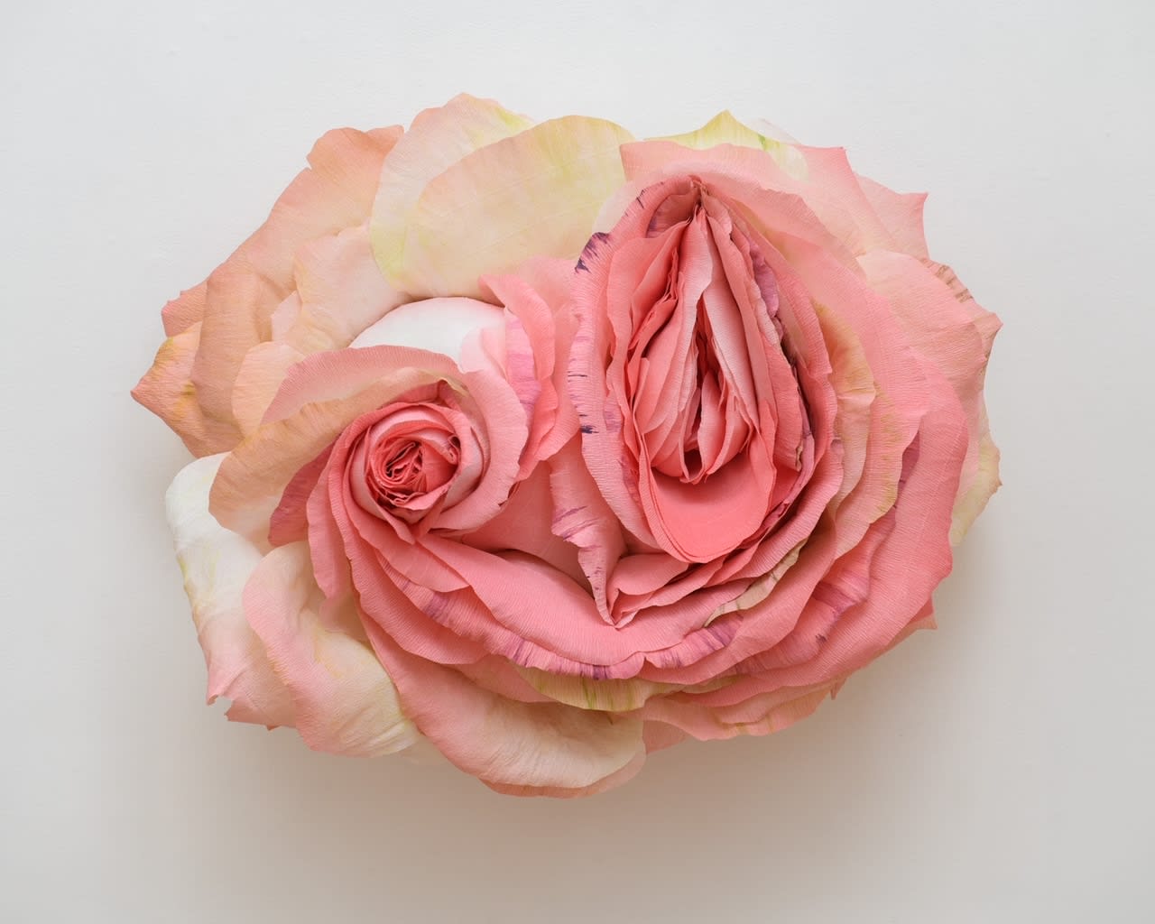 Tiffanie Turner, Split Rose, 2020