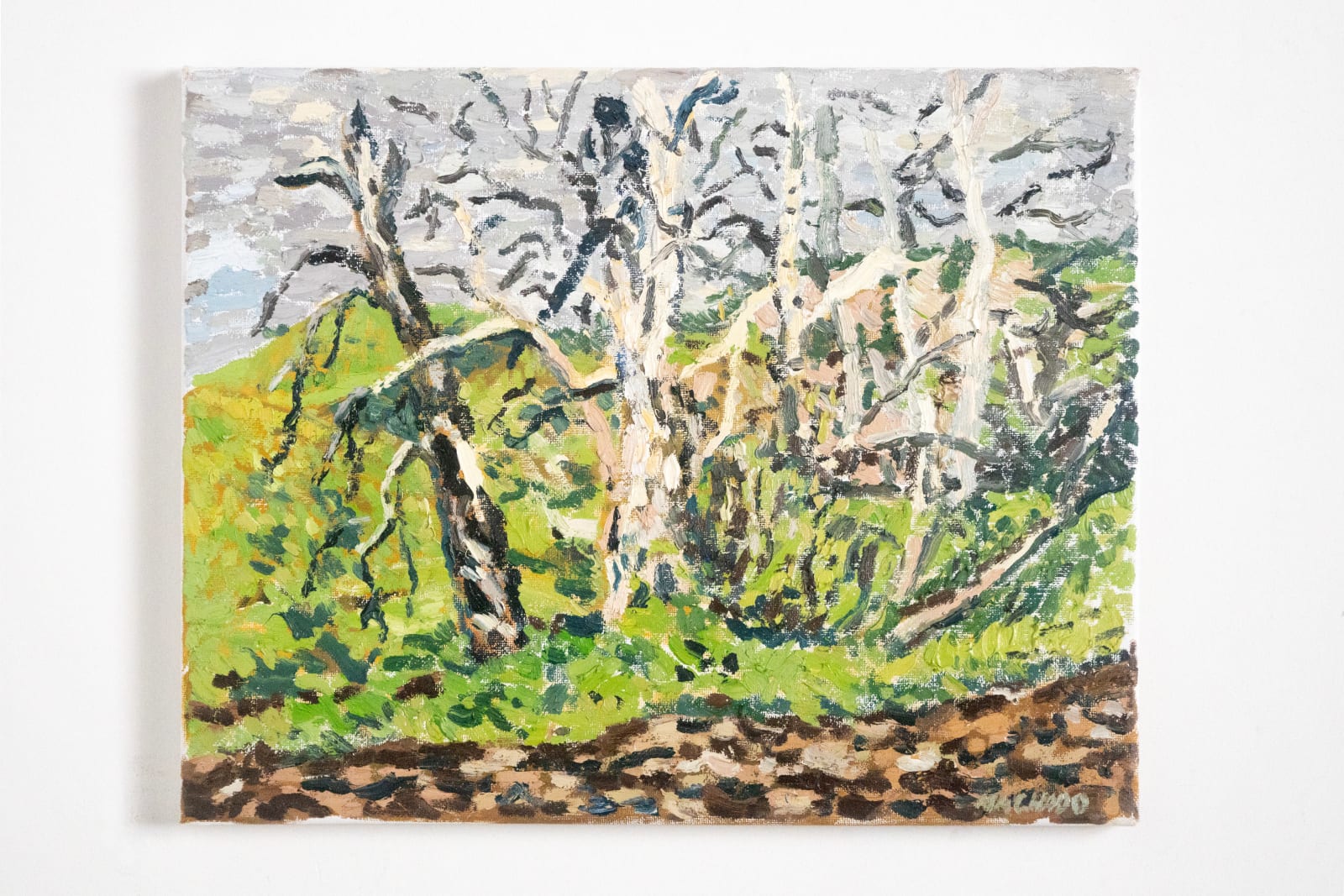 Martin Machado, Sycamores, San Luis Obispo, 2023