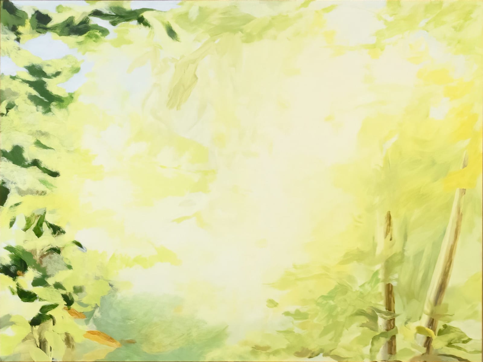 Janet Jacobs, Through Light, 2019