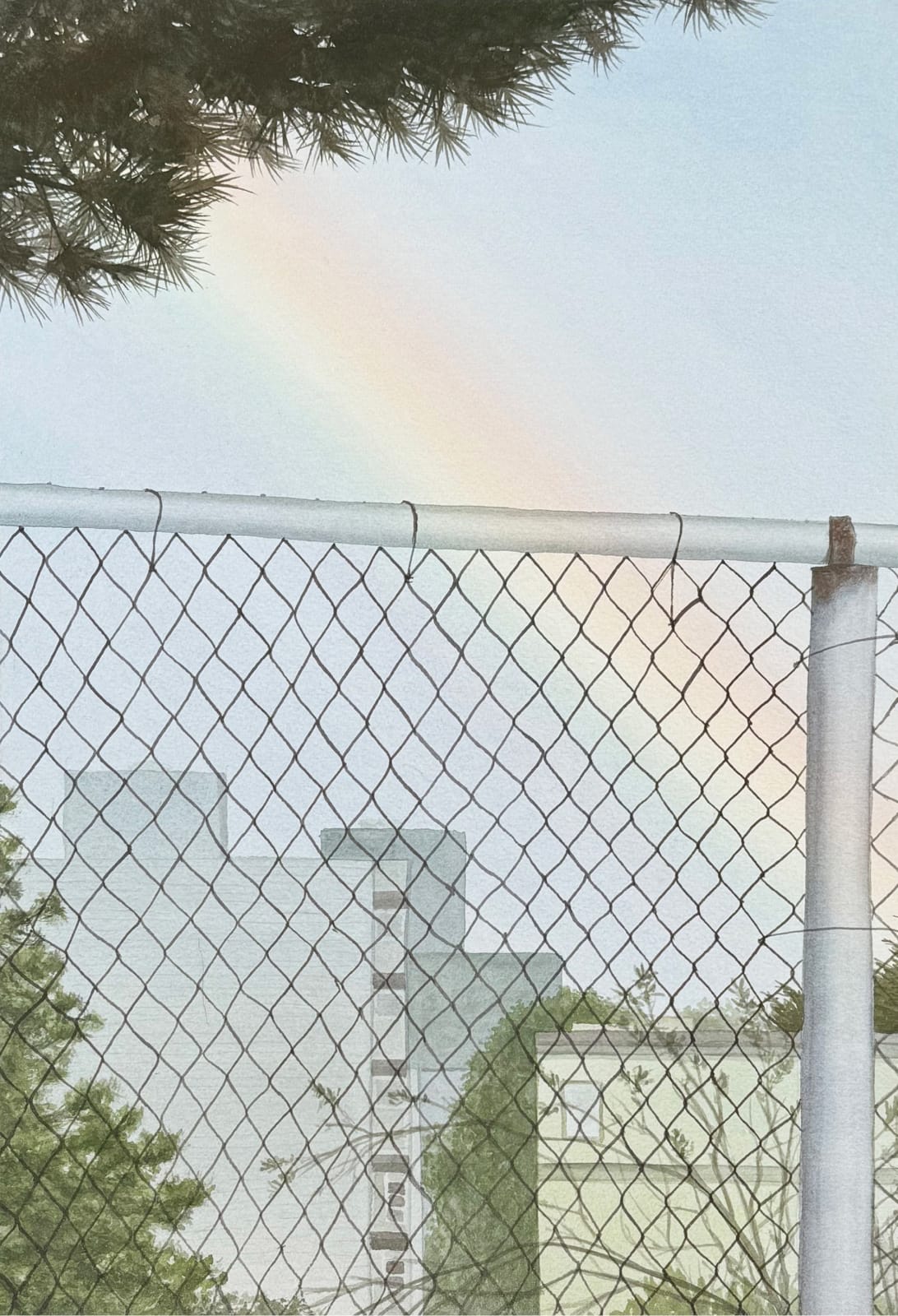 David Muller, Sota Lot C, 2024