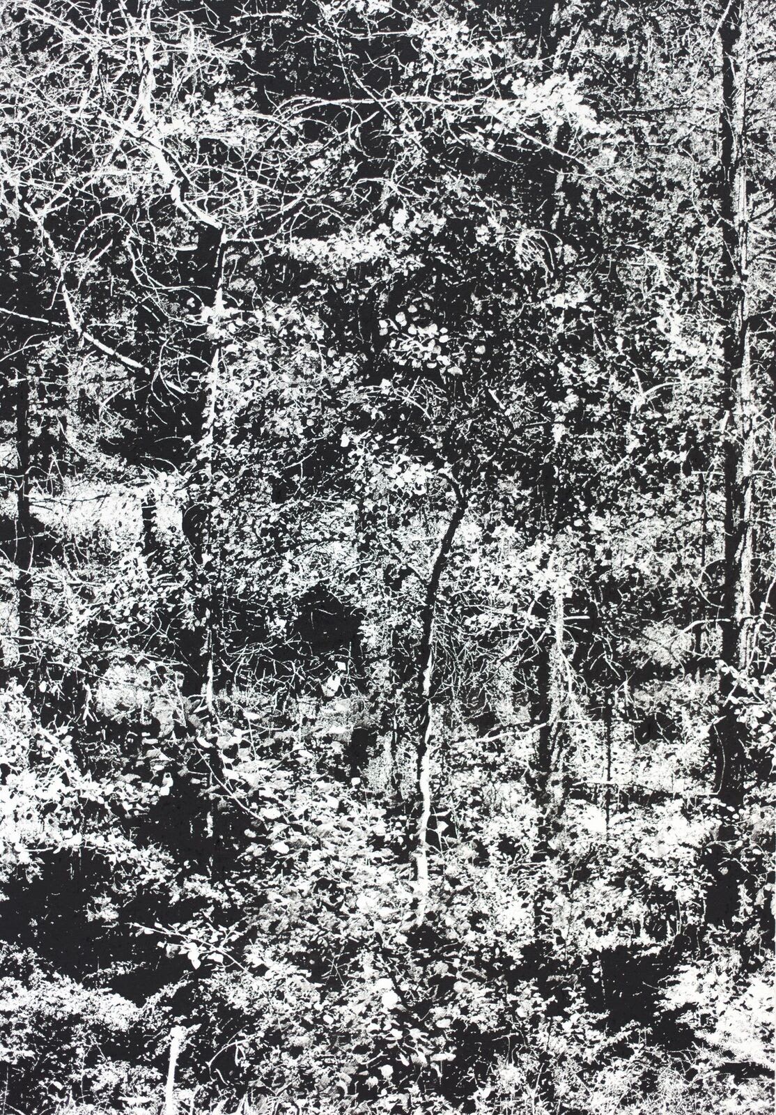 James Chronister, Summer 4, 2016