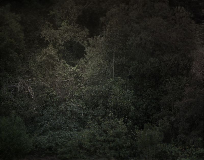 Sean McFarland, Untitled, 2008