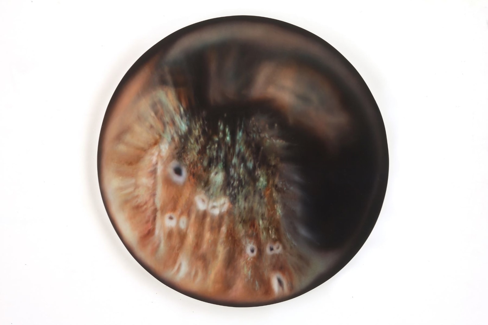 Kate Nichols, Xerces Blue 3, 2017