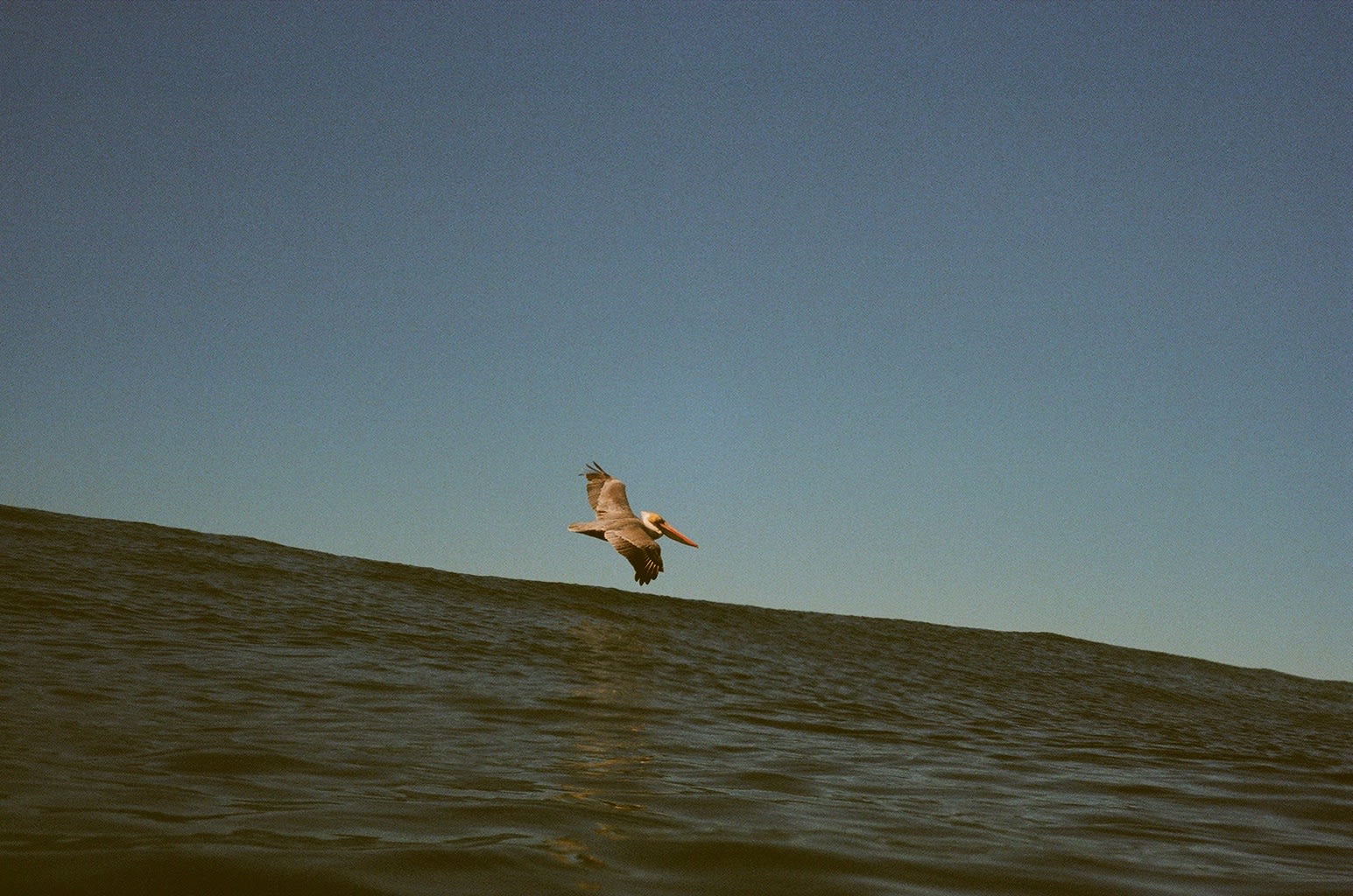 Lex Santos, Highline, 2023