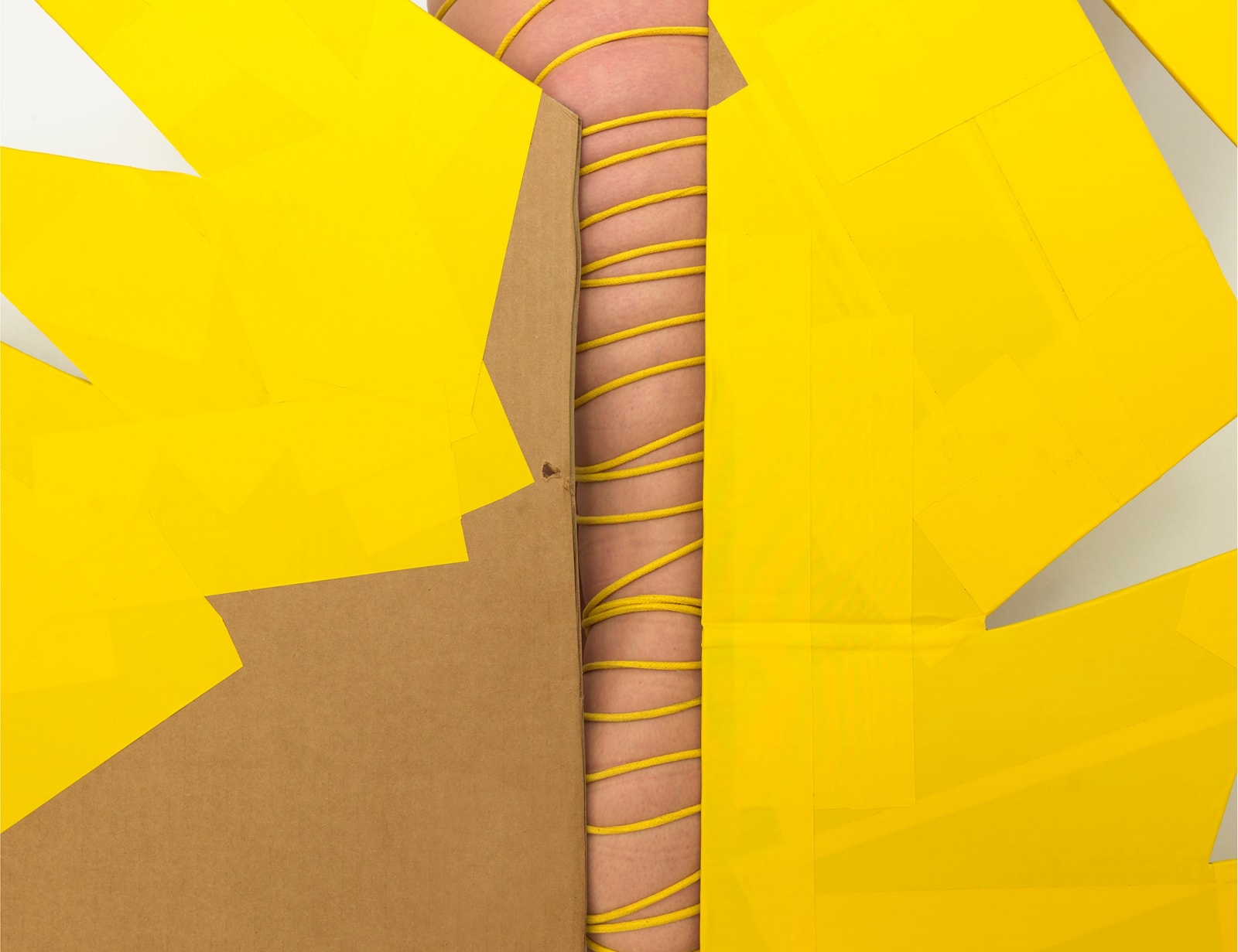 Lee Materazzi, ><, 2022