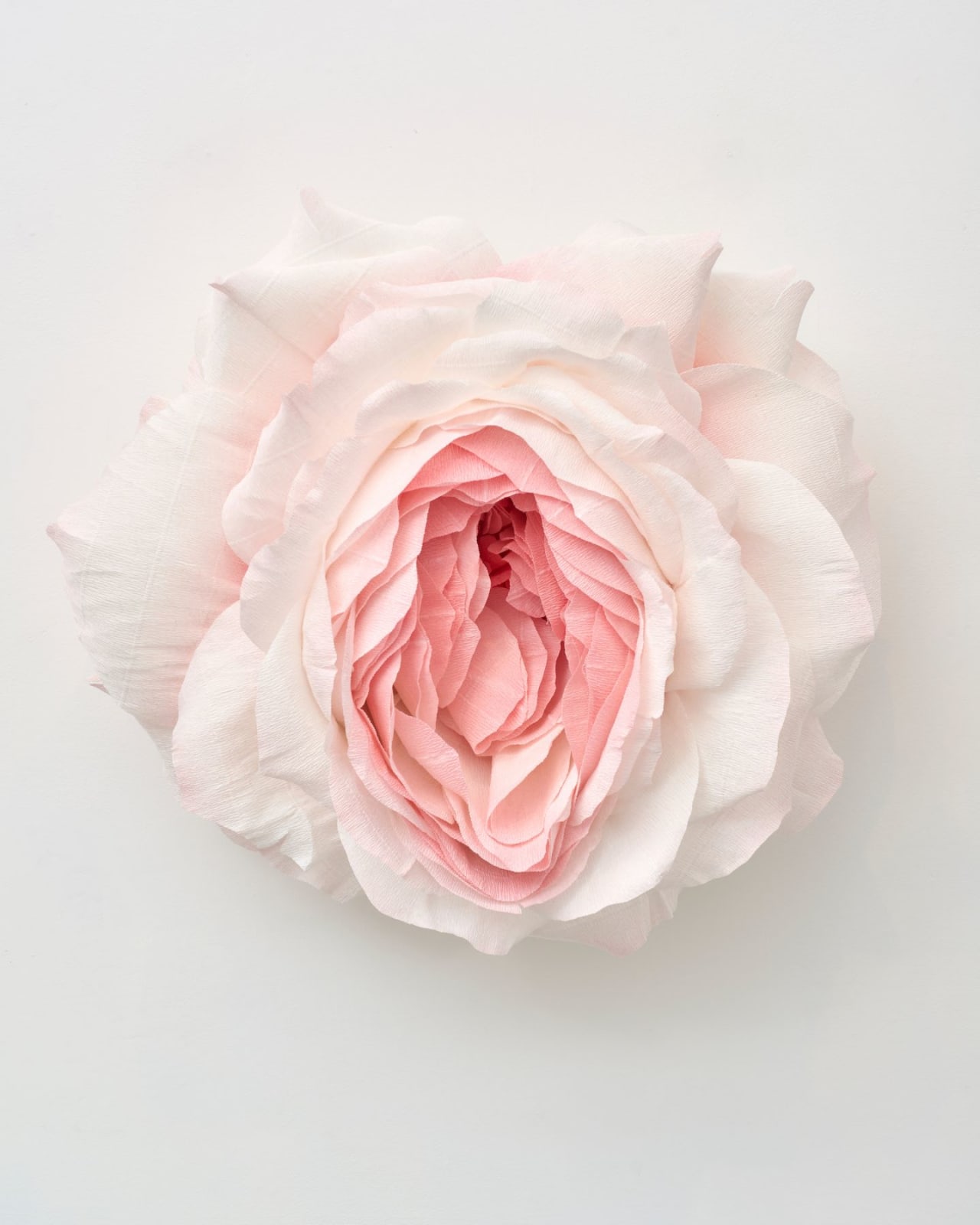 Tiffanie Turner, Specimen G (Prolapsed Rose) , 2019