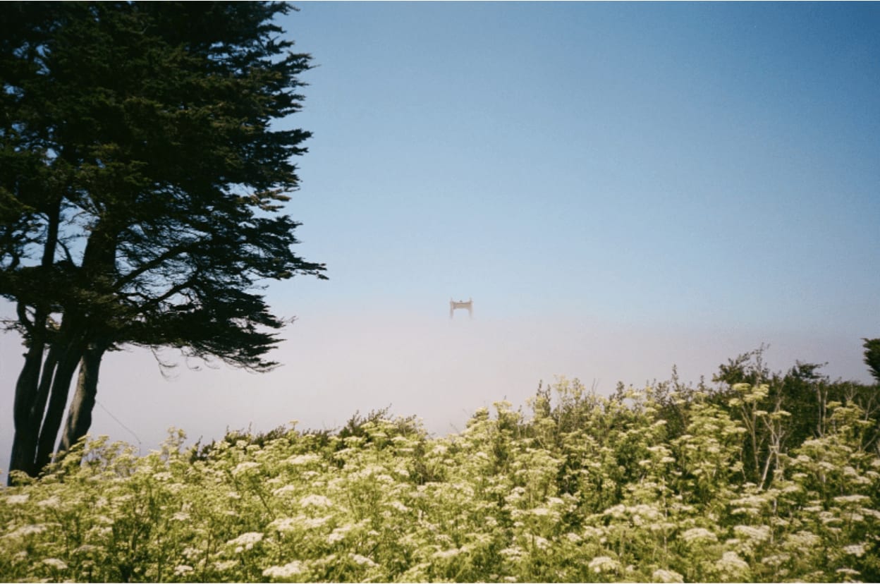 Stephen Amato-Salvatierra, The South Tower of the Golden Gate Bridge Poking Through Low Fog on a Tuesday , 2024