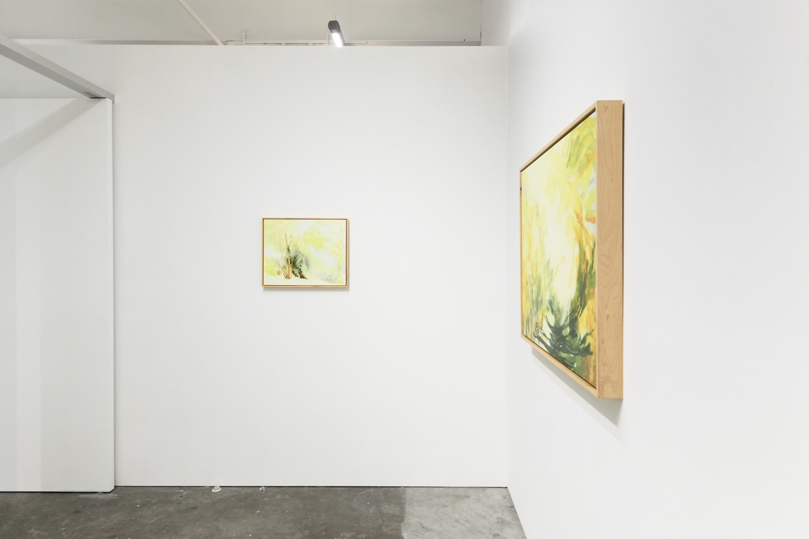 Janet Jacobs, Light, Near and Far, 2019