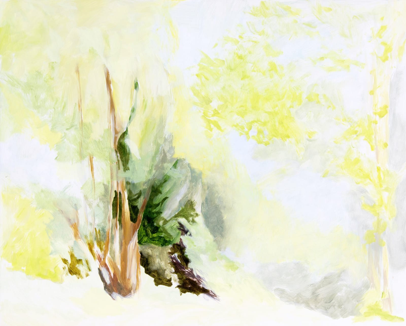 Janet Jacobs, Light, Near and Far, 2019