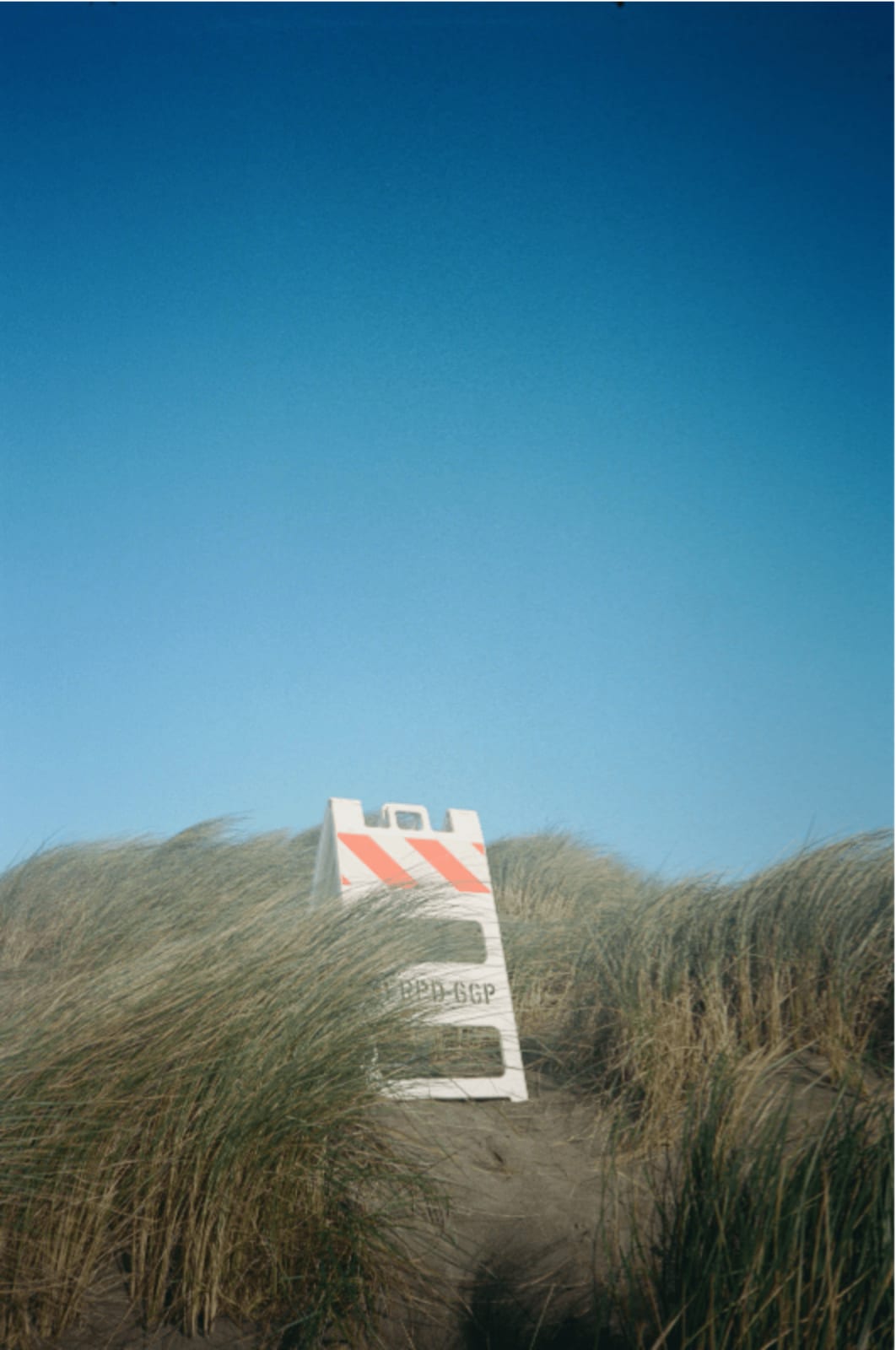 Stephen Amato-Salvatierra, Road Sign In the Dune Grass, 2022