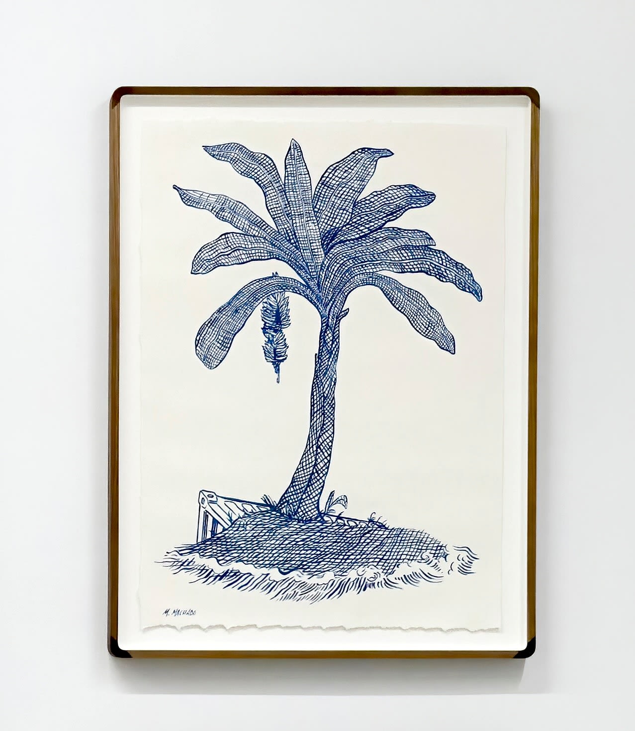 Martin Machado, Banana Tree, 2023