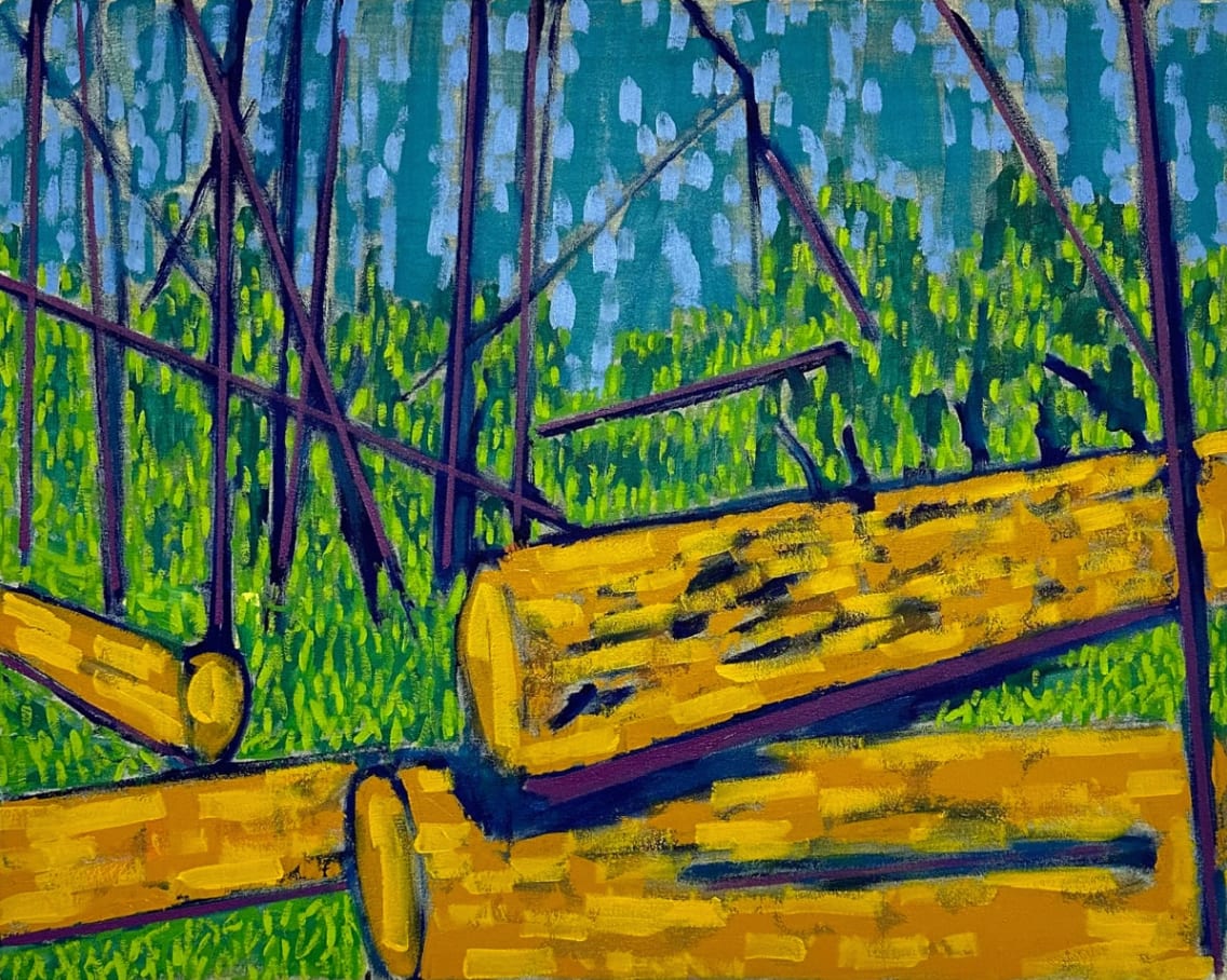 Richard Keen, Island Geometry, Monhegan: Cathedral Woods No. 08