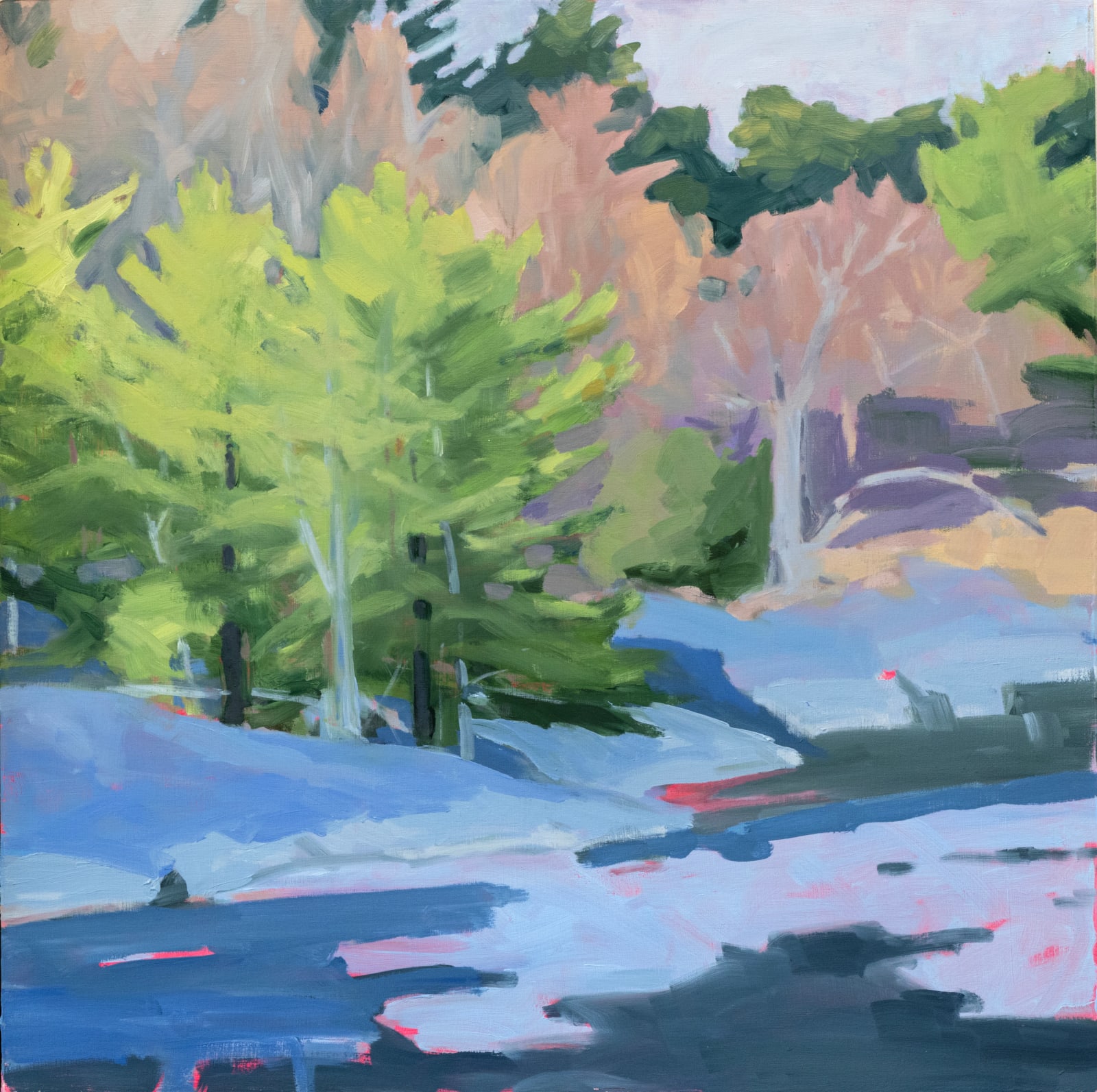 Anne Ireland, Androscoggin Spring
