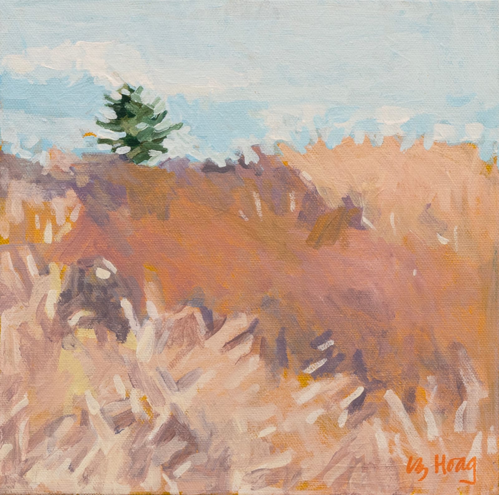 Liz Hoag, The Bluff
