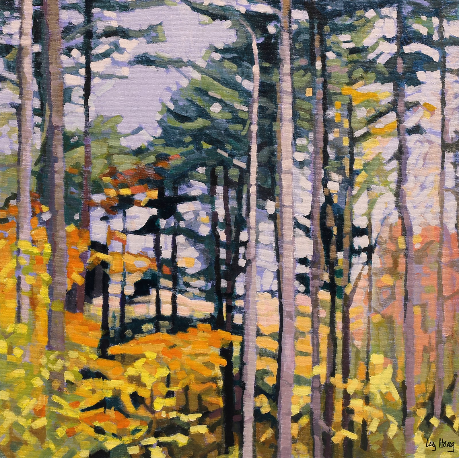 Liz Hoag, Baxter Woods at Dusk