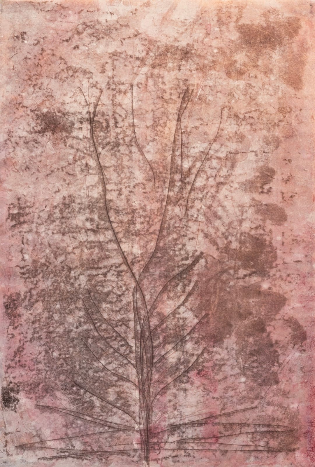 Anne Neely, Rust Series #2