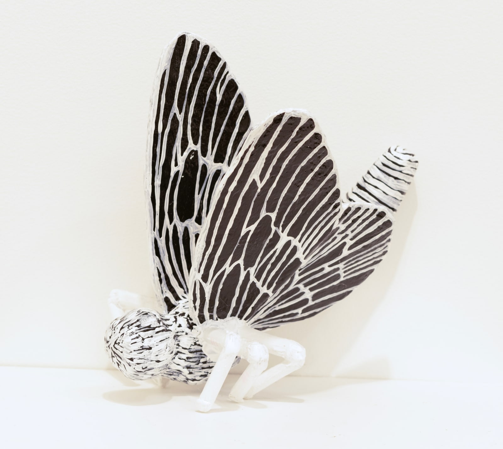 Annika Earley, Butterfly 2 (high wings)