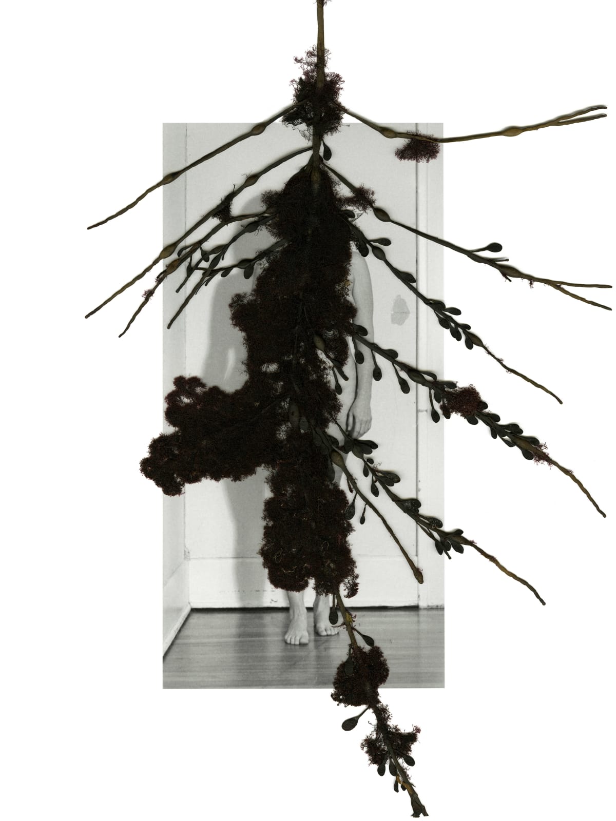 Celeste Roberge, 8 Days a Week: Full Set, 2018