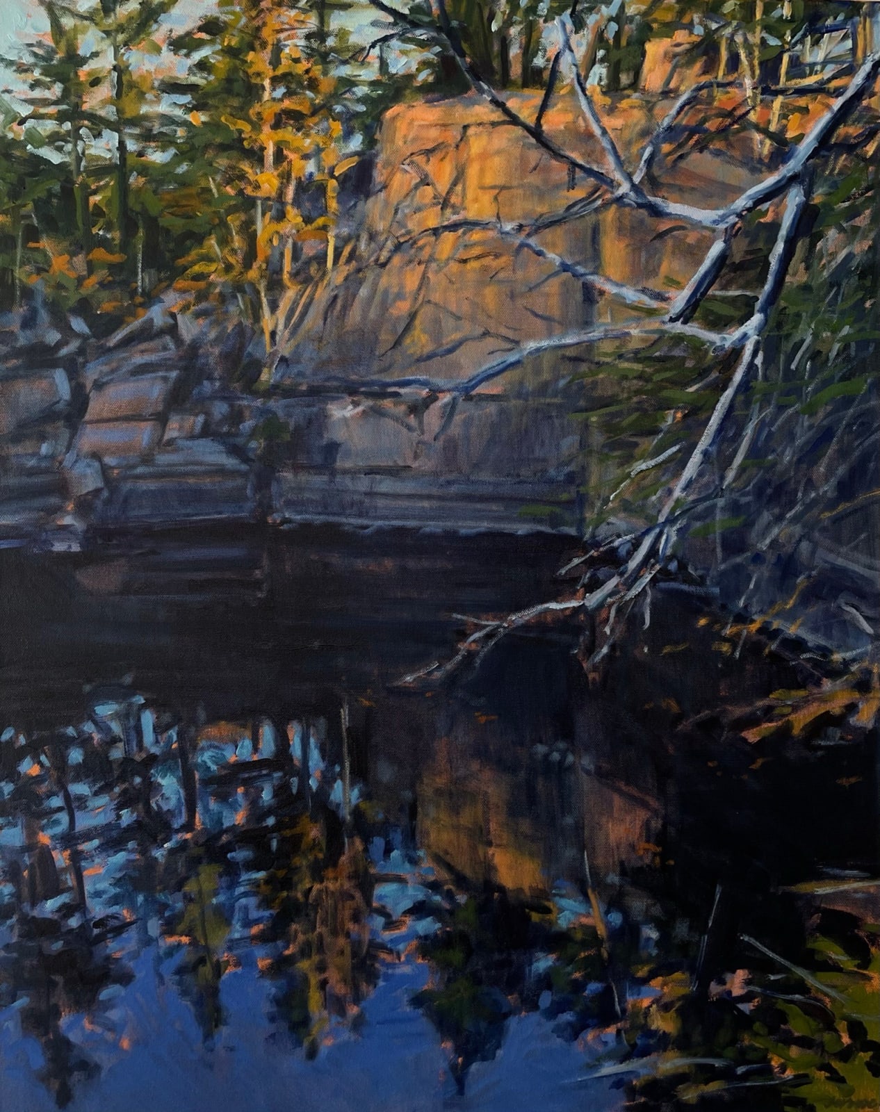 Nina Jerome, Sunset with Branch