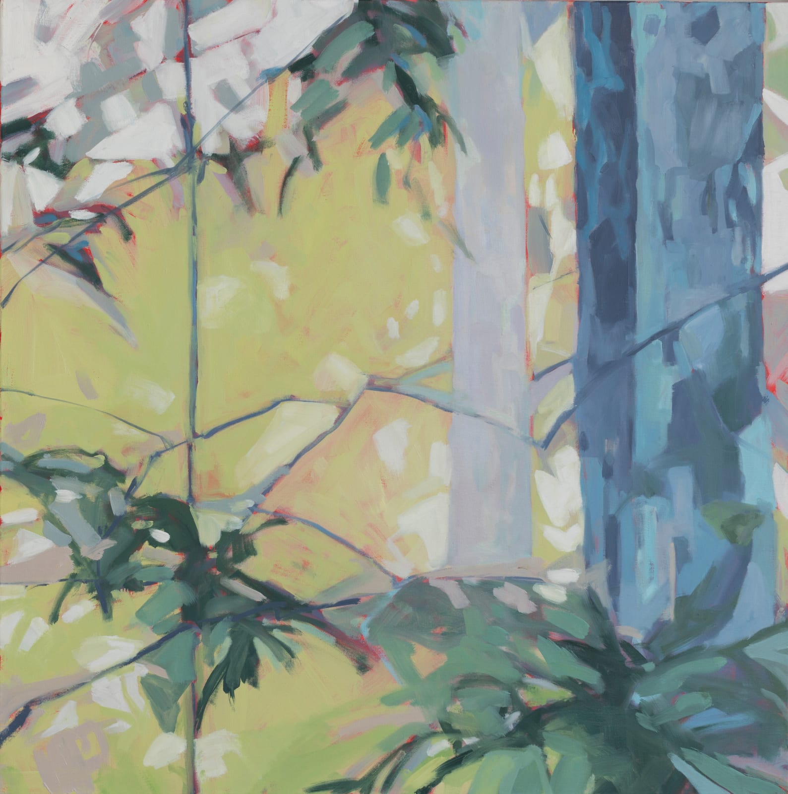 Anne Ireland, Blue Fir