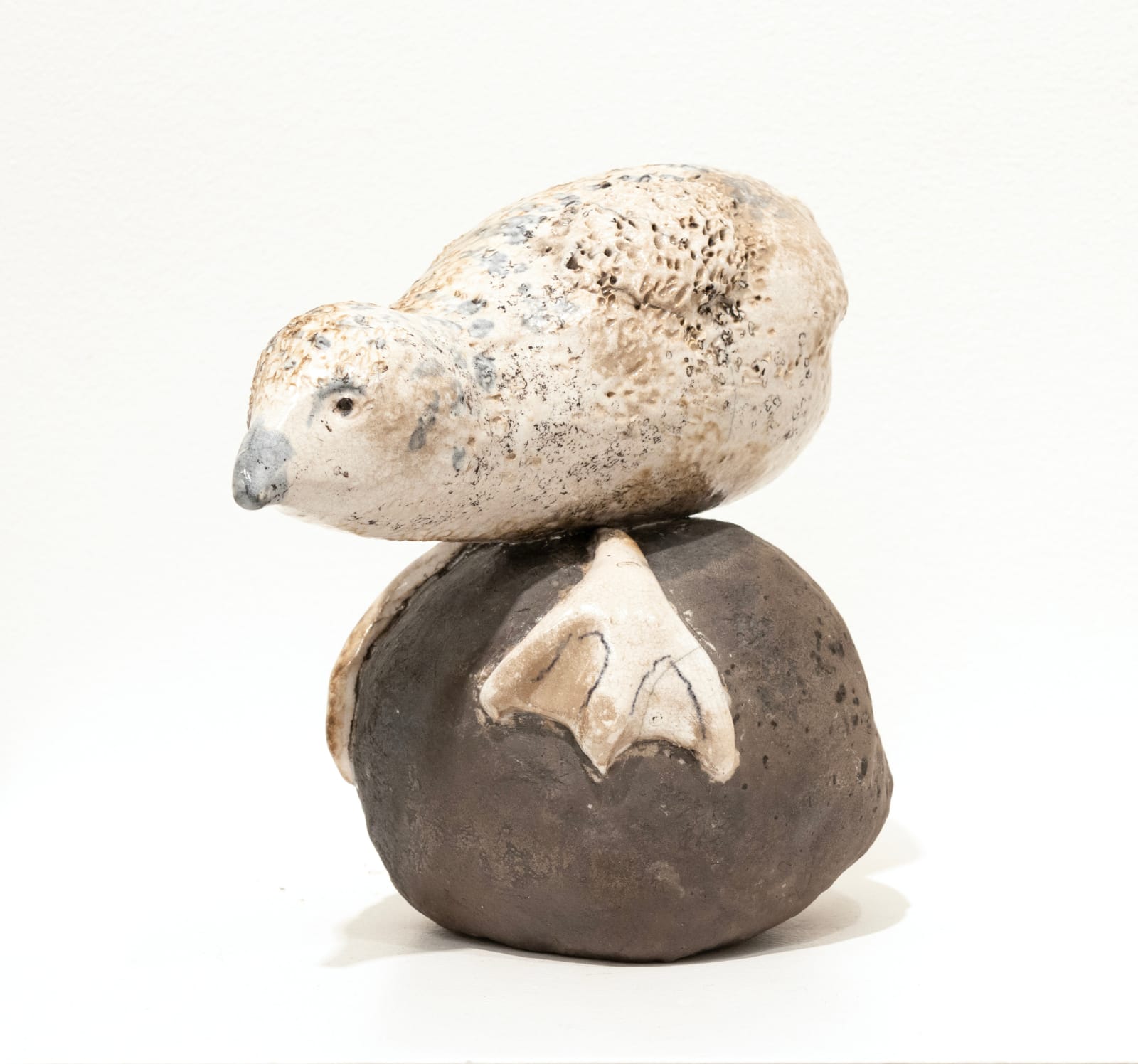 Torrie Dorsey, Bird on Rocks 2