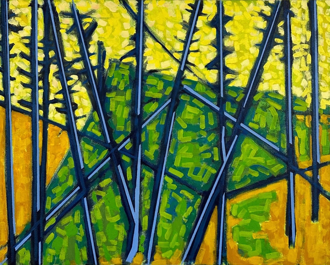 Richard Keen, Island Geometry, Monhegan: Cathedral Woods No. 07