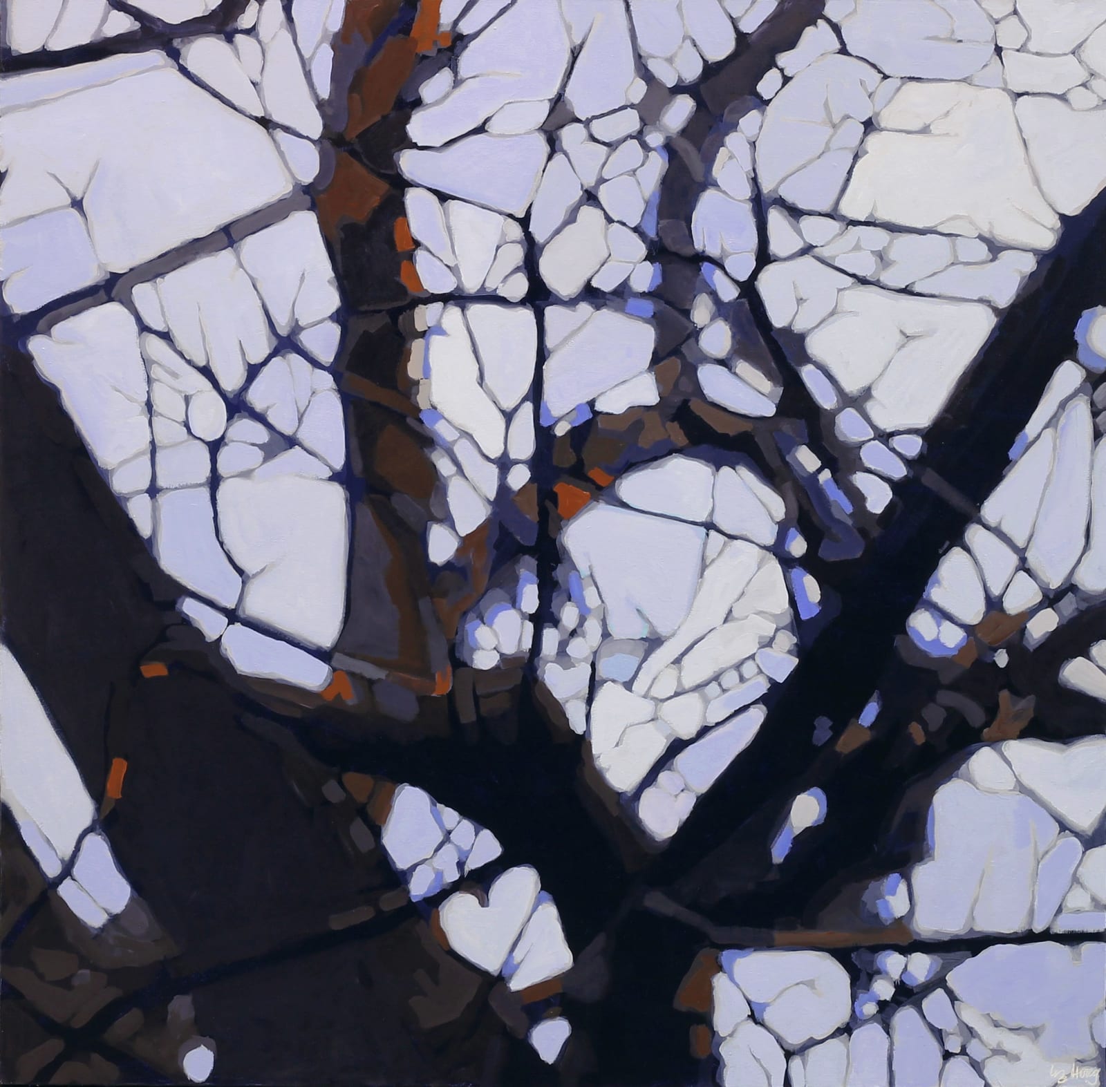 Liz Hoag, Soft Tangle 1