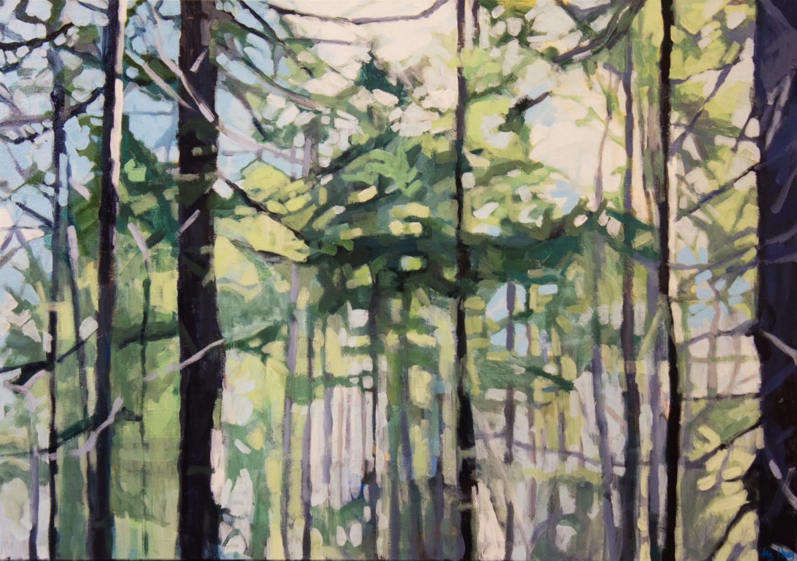 Liz Hoag, Through the Trees 1