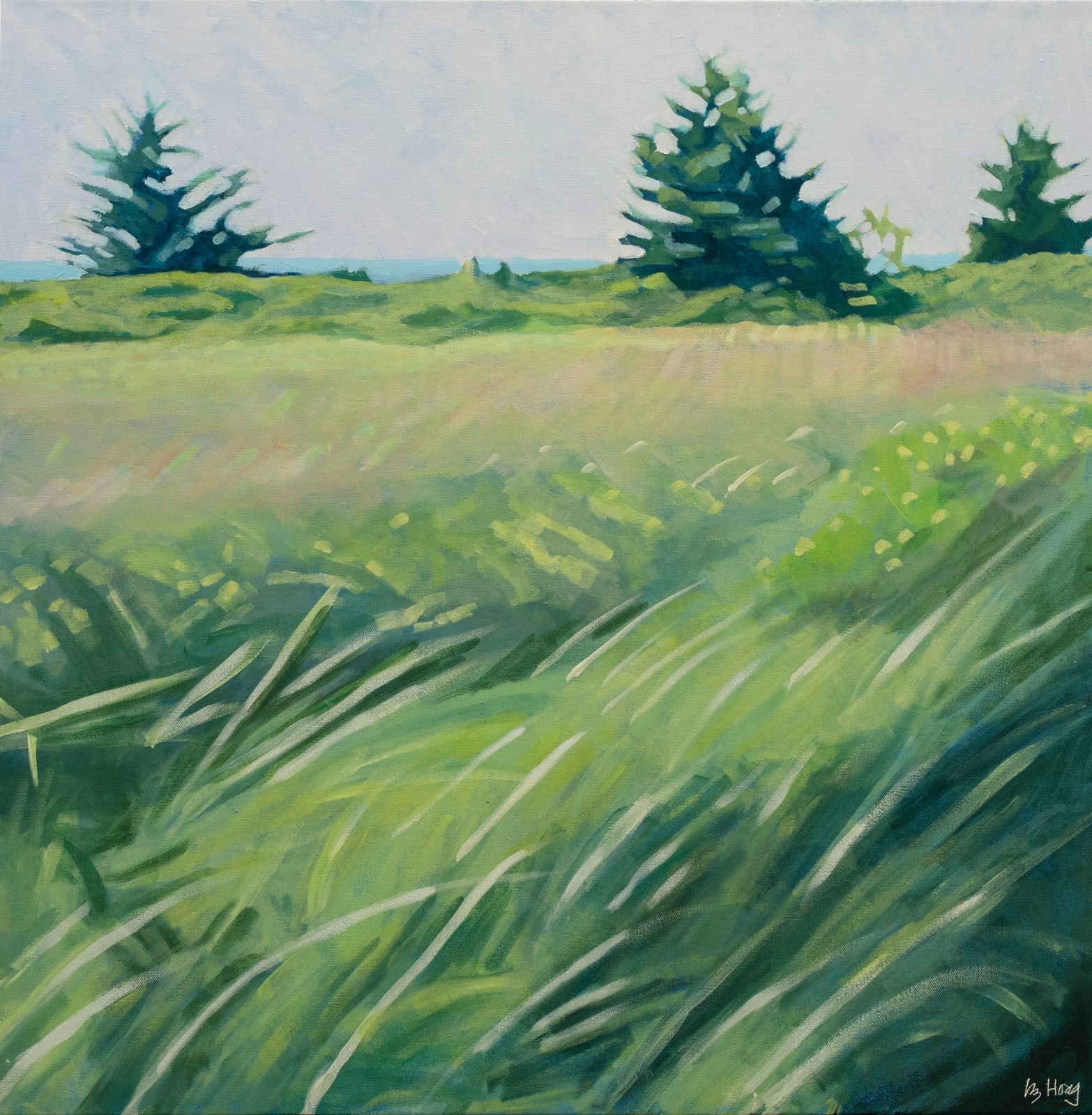 Liz Hoag, Bale St. Marie